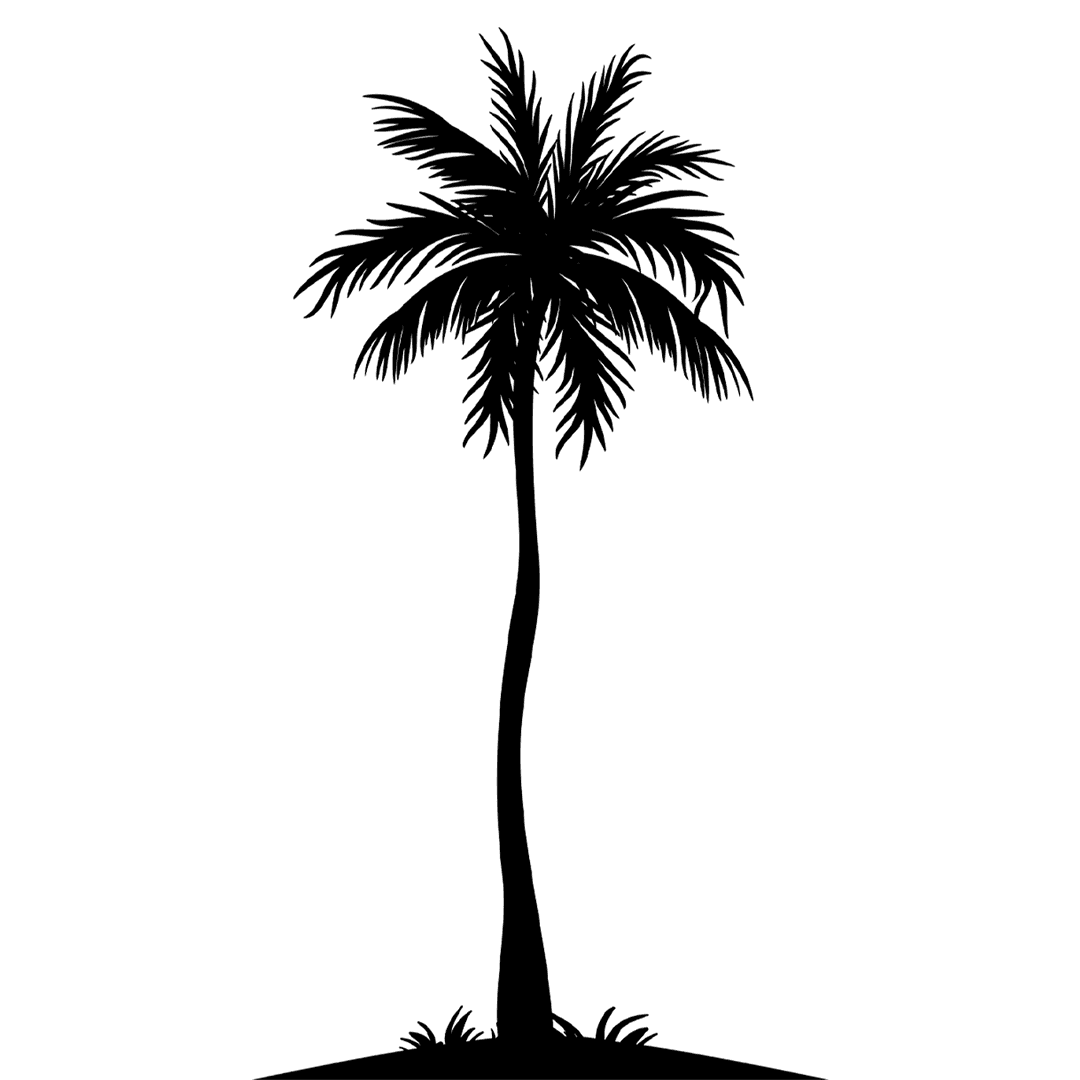 palm-tree