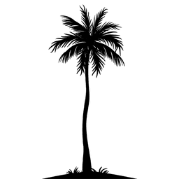 palm-tree